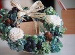 IMG_2754 IMG_2754