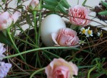 IMG_4315 IMG_4315
